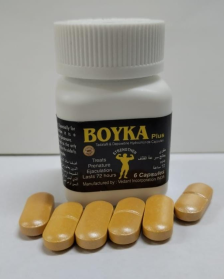 Boyka Plus